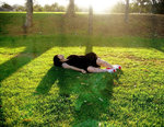 
sleep