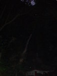 DSC00971
