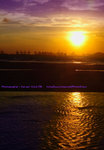 VOL43%_copyright_3150