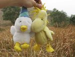 ۣ�ɦP��dock�����P�C����