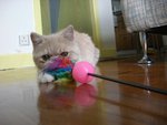 �b�d�������x������