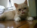 ��,�ѰO�F��c�c��^�f��