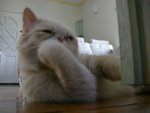 ����,�Aout focuus,�v���M�䪺�O�Ӧ��|���b�N��