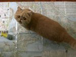 ������a�I�����ӷd�����i�a��