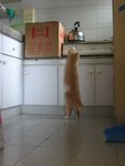 �K���s�~���l�_