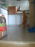 ��o��ڻ���M��,"��"��D��