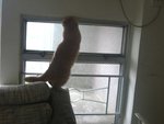 �K���s�~����