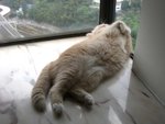 瞓响���x,���_����