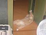 �O�ƿ�"mark"肶瞓,�����I�ѥ�n�|�_���O?