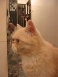 �S�X���Yla