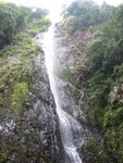 �D�r����פ���z,���L,���T�O�۷���