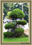 �վ�4
