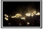 IMG_6523