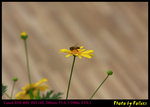 IMG_9558