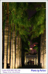 IMG_9348