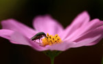 IMG_2657