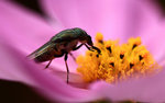 IMG_2657a