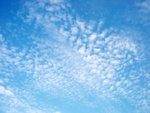 skyblue