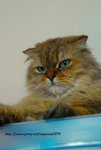 DSC_0063ok