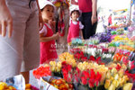 DSC_3441
roses shopping