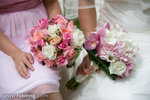 20080907_0664