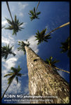 20060323-27redang_292