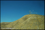 vegas_201