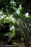 20080810_kk_044