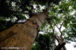 20080810_kk_107