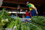 20080811_kk_239