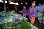 20080811_kk_244