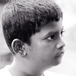 DSC_9364 sq copy