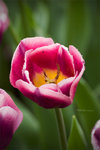 CRW_3190