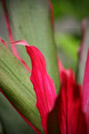 IMG_1566