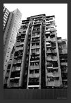 IMG_7501