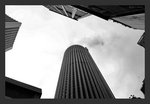 IMG_7529