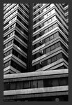 IMG_7536