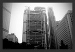IMG_7562