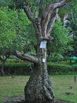 CSC_0392