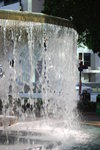 DSC_0250