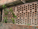 DSCF7099