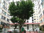 DSCF7100
