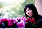 30DK7077 copy