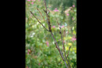 120125_002