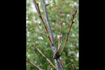 120125_003