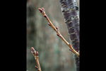 120125_004