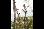 120125_005