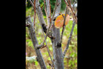 120125_006