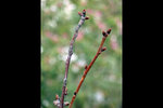 120125_007