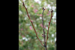 120125_009